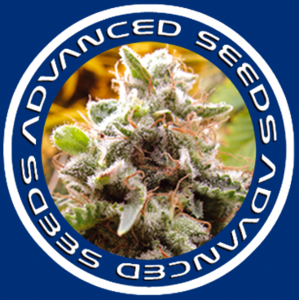 Advanced_Seeds_Logo_.png