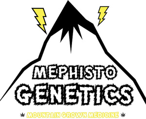Mephisto_Genetics_1.jpg