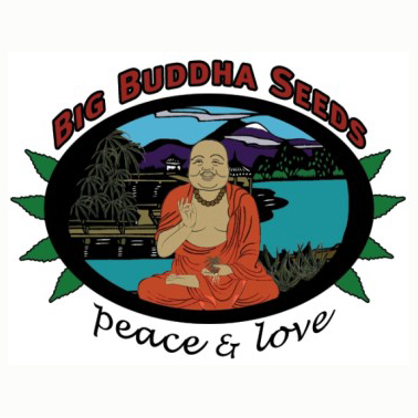 big_buddha_seeds_logo.jpg