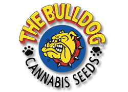 bulldog-seeds.gif