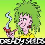 dready-feminized-cannabis-seeds.jpg