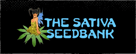 sativa-seedbank-marijuana-seeds.gif
